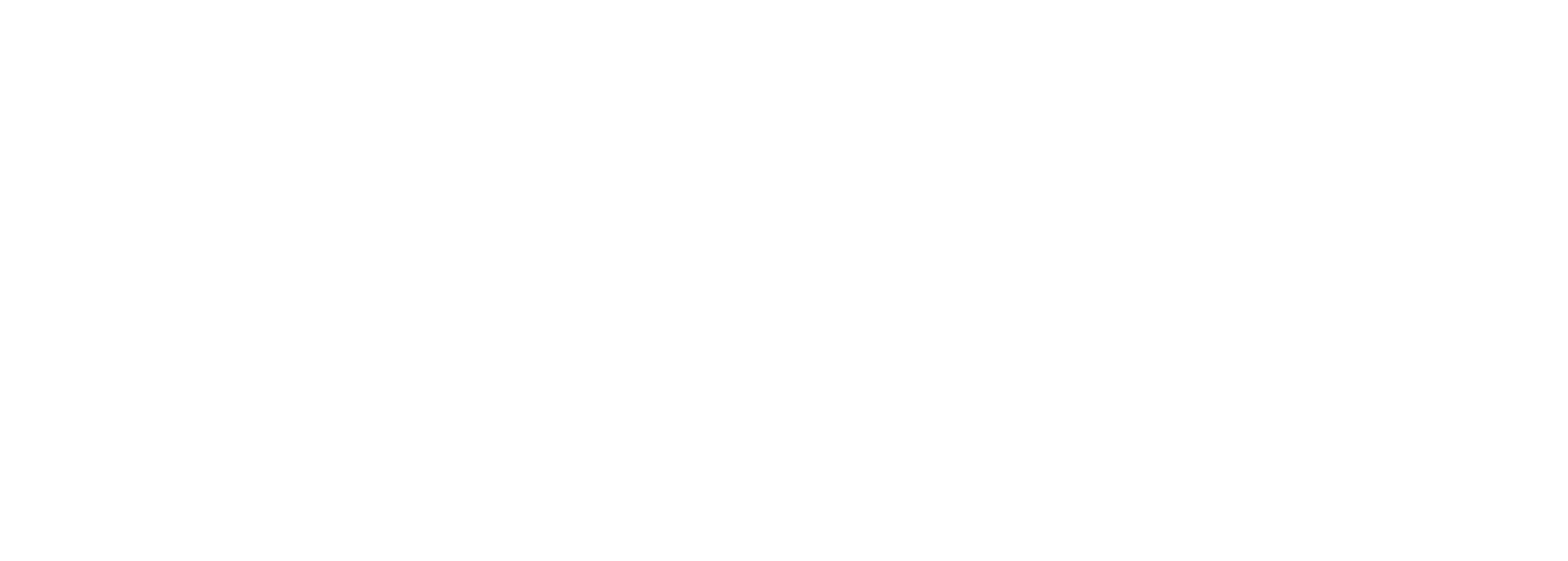 logo estude em portugal Branco-01